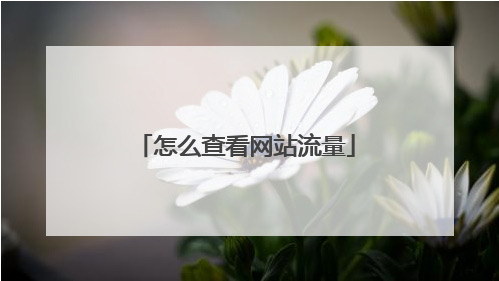 網站日均流量怎么看？網站日均訪問量查詢？