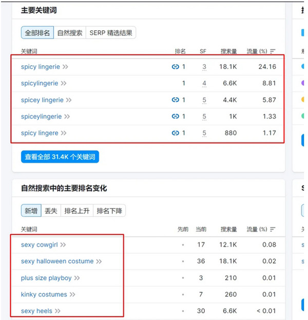 95%的獨立站沒流量，獨立站引流真的那么難嗎？